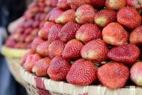 strawberries-1491250_640-205x137
