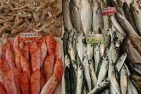 fish-market-462199_640