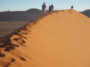 landscape-sand-desert-dune-habitat-ecosystem-633163-pxhere.com