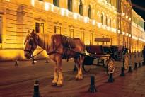 transport-evening-vehicle-horse-stall-carriage-1341888-pxhere.com