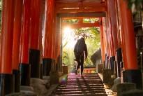 Walking up the stairs at Fushimi Inari