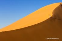 Dune of Algeria. Sahara  desert